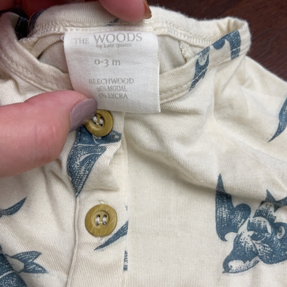 Kate Quinn the woods swallow gown